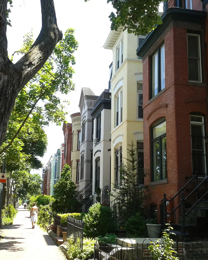 Tree-lined rowhouse block on Capitol Hill